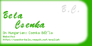 bela csenka business card